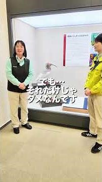 【企画展見どころ紹介】絶滅種トキpart⑤(終)【島根県立三瓶自然館サヒメル】#shorts #サヒメル