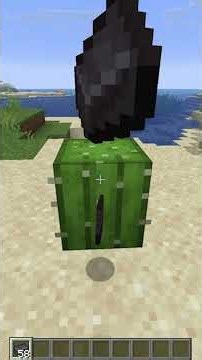 how to make a realistic working trash can #minecraft ‪@night2fall‬