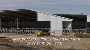 20K views | Go behind-the-scenes of a dairy farm to learn about cow care & sustainability! Join us 10/19 at 1PM ET. | Discovery Education | Facebook