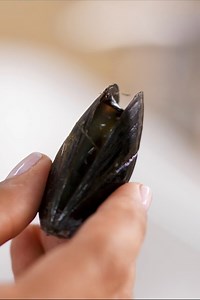 How to clean fresh mussels easily