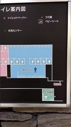 上野駅(公園改札口)の点字表記付きトイレ案内図。多目的トイレ、ベビーシート、ゴミ箱、トイレットペーパー、水洗センサー、手洗い、ドア開閉ボタン等。#駅 #トイレ #上野 #station #toilet