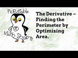 Calculus I - Derivative Word Problems - Area Optimization - Physics #Differentiation