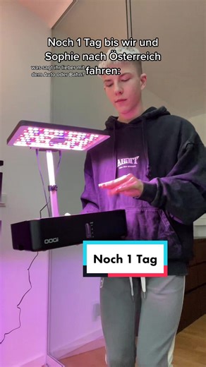 Grow Light Setup for Indoor Gardening