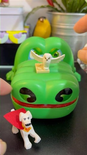 Angry crocodile eating a dog and bird #dog #bird #asmrsounds #satisfying #viralshort #shortvideo