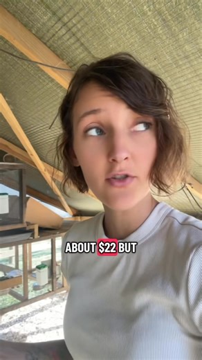 115K views · 3.4K reactions | “Feed is the biggest expense when it comes to raising meat rabbits  In this video, I’m breaking down what we feed, how we manage it efficiently, and why rabbits are one of the most cost-effective meats to raise right in your backyard ✨”#MeatRabbits #Homesteading #RabbitFarming #BackyardMeat #SelfSufficiency | Roots & Rabbits Homestead | Facebook