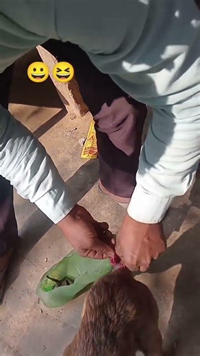 #funny #minivlog #talwiinder #shortvideo #funny #tweening #comedy