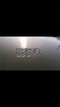 70Pにでる #lurefishing #fishing#tacklehouse #gophish #fishingvideo