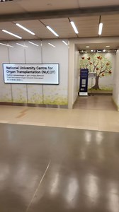 4.4K views · 74 reactions |  No more asking for directions or...