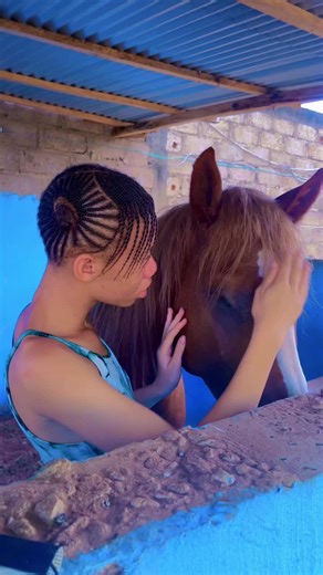 Interacting with Horses: A Gentle Connection