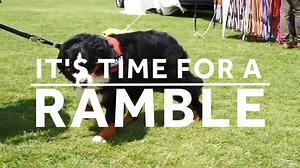 46 reactions · 15 shares | Calling all doggies, dog owners and dog lovers! We want you to join us for the BEST walkies of the year, The Great Rescue Ramble.  All good boys, good girls, canine and human, are welcome to join us on 7 October for a 3K or 5K walk to raise vital funds for rescue animals. Head here to find out more https://mayh.ws/RescueRamble | Mayhew | Facebook
