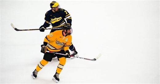 Up your hockey game with this proven effective mental visualization technique