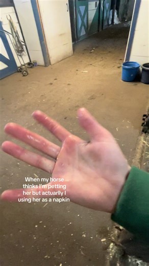 So real 😭#napkin #horse #apple #Goldie #discusting | horses