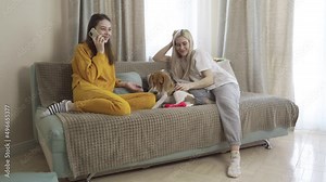 Beagle Puppy Is Loved By Two Women On Couch In Living Room Alt