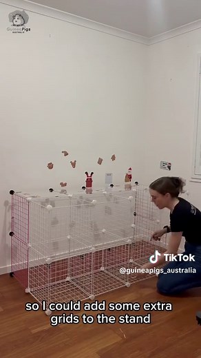 Revolutionize Your Guinea Pig Cage Cleaning with Ozzy Wheels