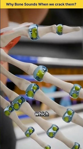 Why Bone Sound When we Crack them? 🤔 | 3d animation | #ytshorts #youtubeshorts #3danimation