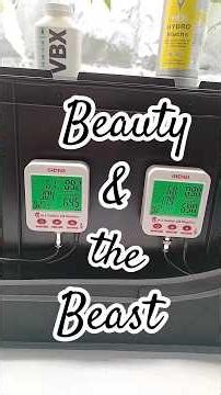 ☝️ "As you can see" ☝️ | Episode 13