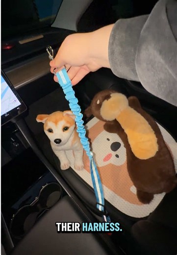 Car Pet Safety Belt for Smooth Rides
