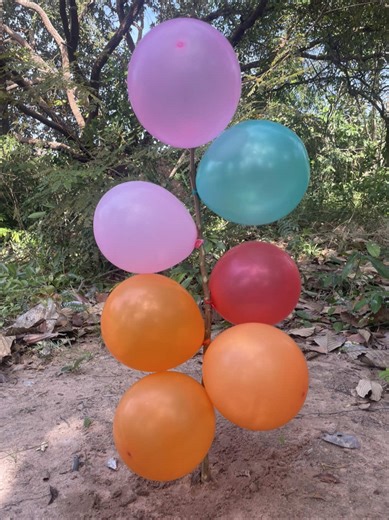 Essential Survival Skills for Outdoor Adventures