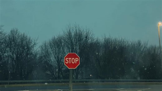 Finding Hope in Nature's Embrace