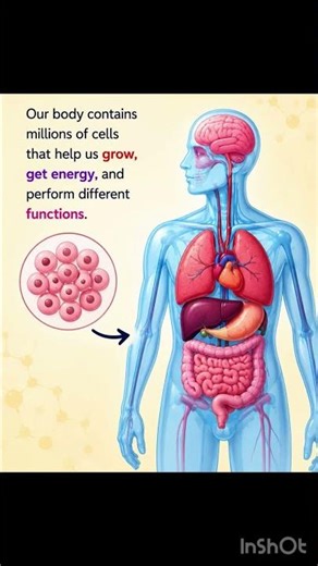 What is cell ? Learn cell in easy way.