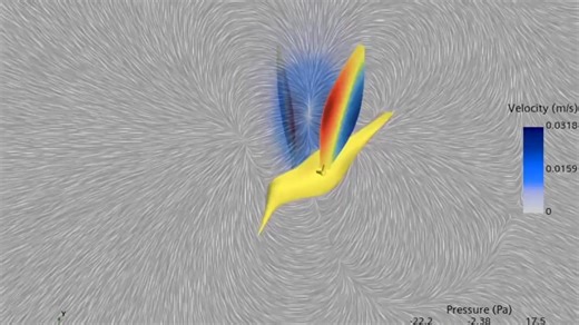 柔性翼扑翼仿生飞行仿真揭秘：在Fluent中实现柔性翼双向流固耦合，高保真模拟蜂鸟悬停与扑动答疑指导