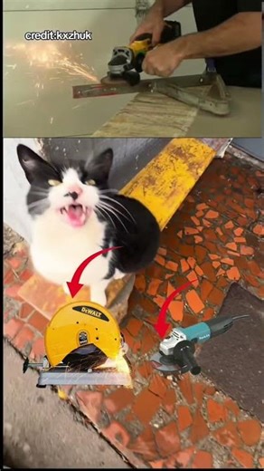 He's an angle grinder😺😂