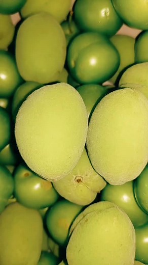 Discover Unique Green Unripe Fruits in Close-Up
