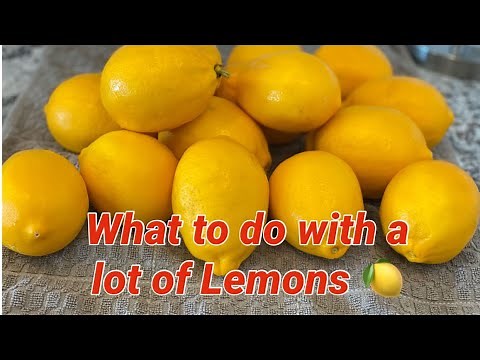 How to preserve Lemons | What to do with a lot of Lemons?