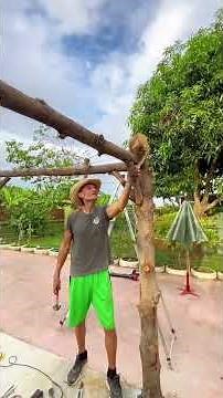 Building a Grape Trellis, Brother Steve Style 🍇🇹🇭