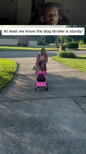 Can this pink stroller survive two dogs? 🧐🐕 #doggear #petreview #testing