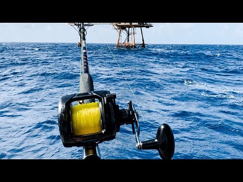 Deep Sea Fishing for Red Snapper (wharfcat, Port aransas, tx)