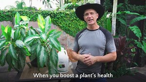 🦟 Are pests and disease wreaking havoc on your plants? Discover your new secret weapon: EM-1 plant probiotic. 🌹 This powerful blend of microbes strengthens roots, enhances nutrient uptake, and boosts yields. 💪🏽 Plus, it keeps blight off tomatoes and black sooty mold away from fruit trees. 🍅 Boost your plant's health and unlock its genetic potential to fend off pests and disease. 🪴 Try it now for healthier, happier plants! 👨🏽‍🌾 | TeraGanix