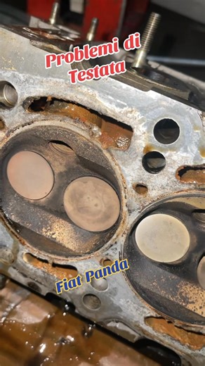 🚗 FIAT PANDA 🔧 ⚠️ Problemi alla testata: attenzione ai primi segnali! Se noti una diminuzione del liquido di raffreddamento nel vaso di espansione, un avviamento difficoltoso a freddo o addirittura una partenza a tre cilindri, potresti essere di fronte a un problema di testata. Intervenire tempestivamente è fondamentale per evitare danni gravi al motore 🔥 ♥️ SEGUICI PER ALTRE INFO E CONSIGLI UTILI ♥️ #carevocenter #autoservice #automotive #meccanica #officina #fiat #panda #ATTENTION #water #s
