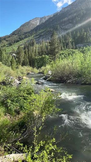 Just another beautiful day on the South Fork of Bishop Creek 😍 #visitbishop #easternsierra #smalltownbigbackyard #bishopcreekcanyon #recreateresponisbly | Visit Bishop