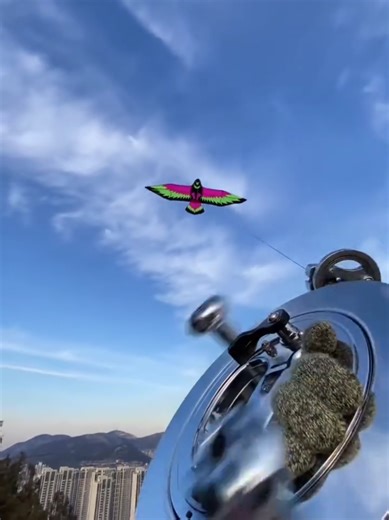 Watta Kite: A Perfect Day for Kite Flying! 🪁