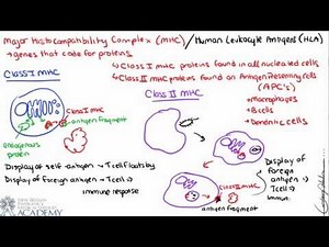Adaptive Immunity