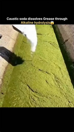 Caustic soda dissolves Grease through Alkaline hydrolysis