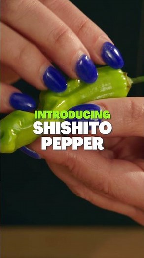 Tiny, tasty, and easy to love 🌶️ Say hello to our newest obsessions: shishito peppers.
