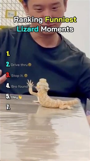Ranking Funniest Lizard Fails