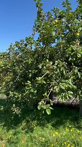 1.3K views · 197 reactions | The exquisite Basque Country | Daniella On Design | Facebook