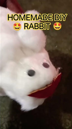 homemade DIY rabbit 🤩🤩🤩😍