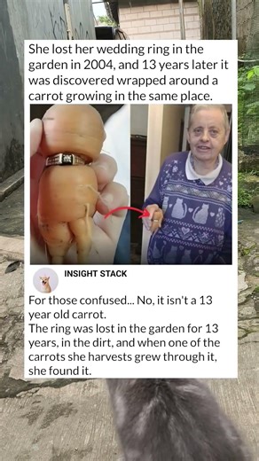 a ring with a 1 carrot diamond.