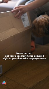 VCA Animal Hospitals on Reels