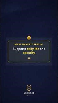 What is Critical Infrastructure? Explained Simply