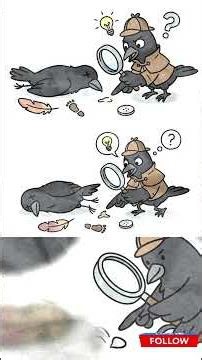 Why Do Crows Gather Around Their Dead? 🐦 #birdpsychology #animalintelligence #animalbehavior