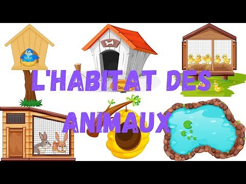 l'habitat des animaux en français. maison 🏠 des animaux