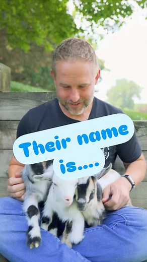 Adorable Baby Goat Names Revealed at Fluffy Feather Farm