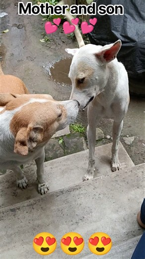 Mother son love 💕💕