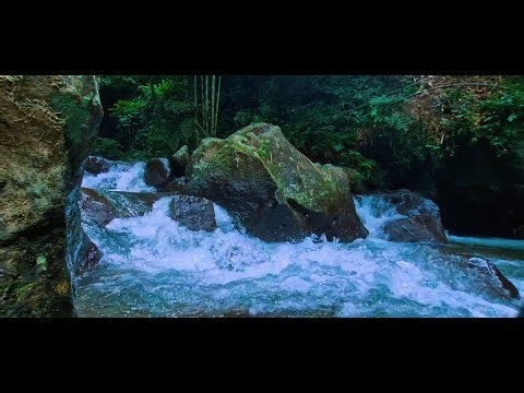 Flowing River Stream | Deep Sleep Relaxation