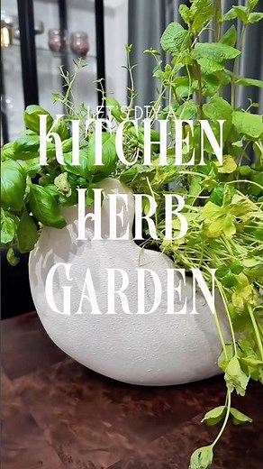 How to Make a Simple DIY Indoor Herb Garden for Cooking & Gifting 🌿🍳 #diygift #indoorgarden